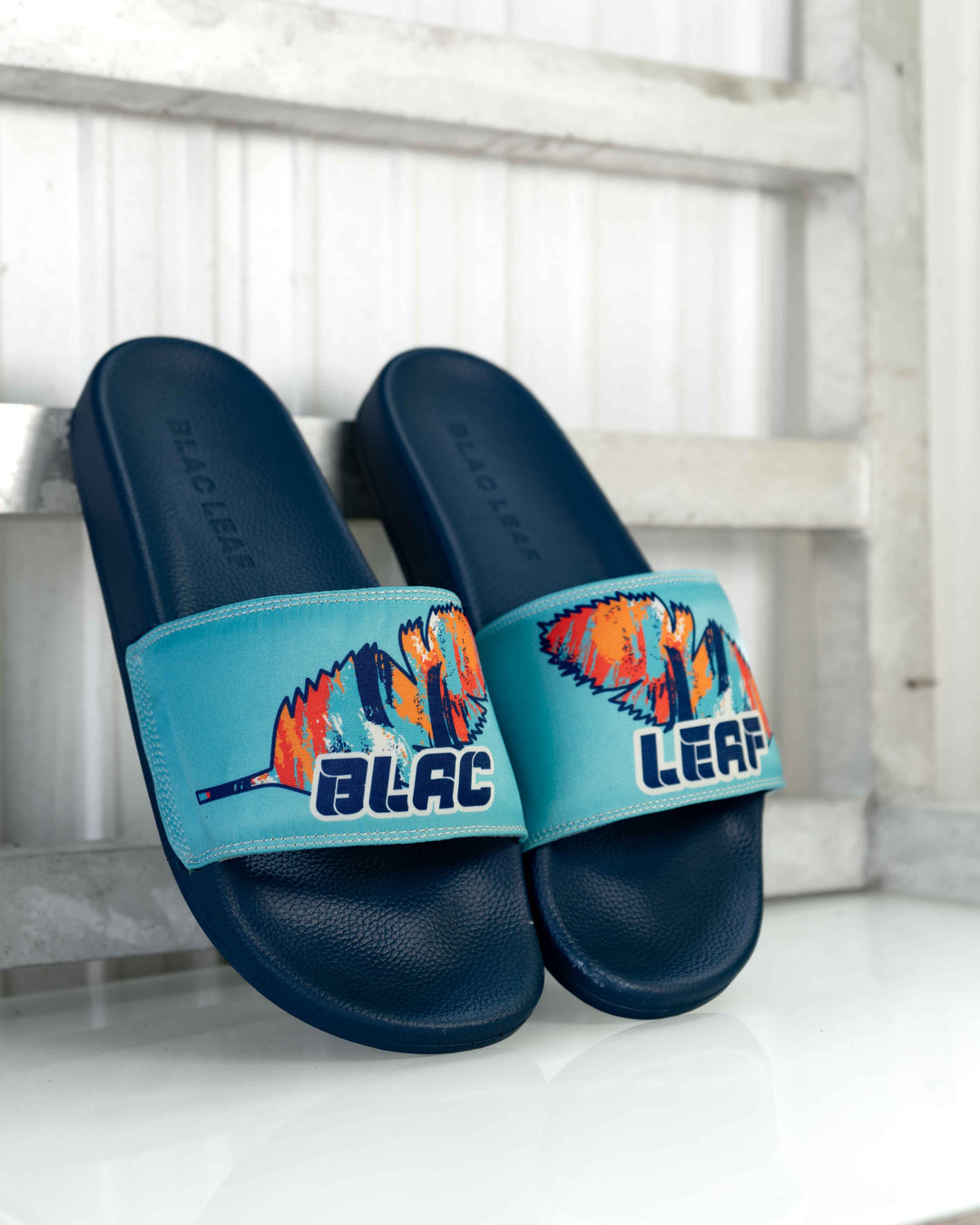 Blac leaf ABSTRACT BLMYG-SLIDE MYG SLIDES LEAF SLIDES (BL-SLIDE-MYG) BLUE