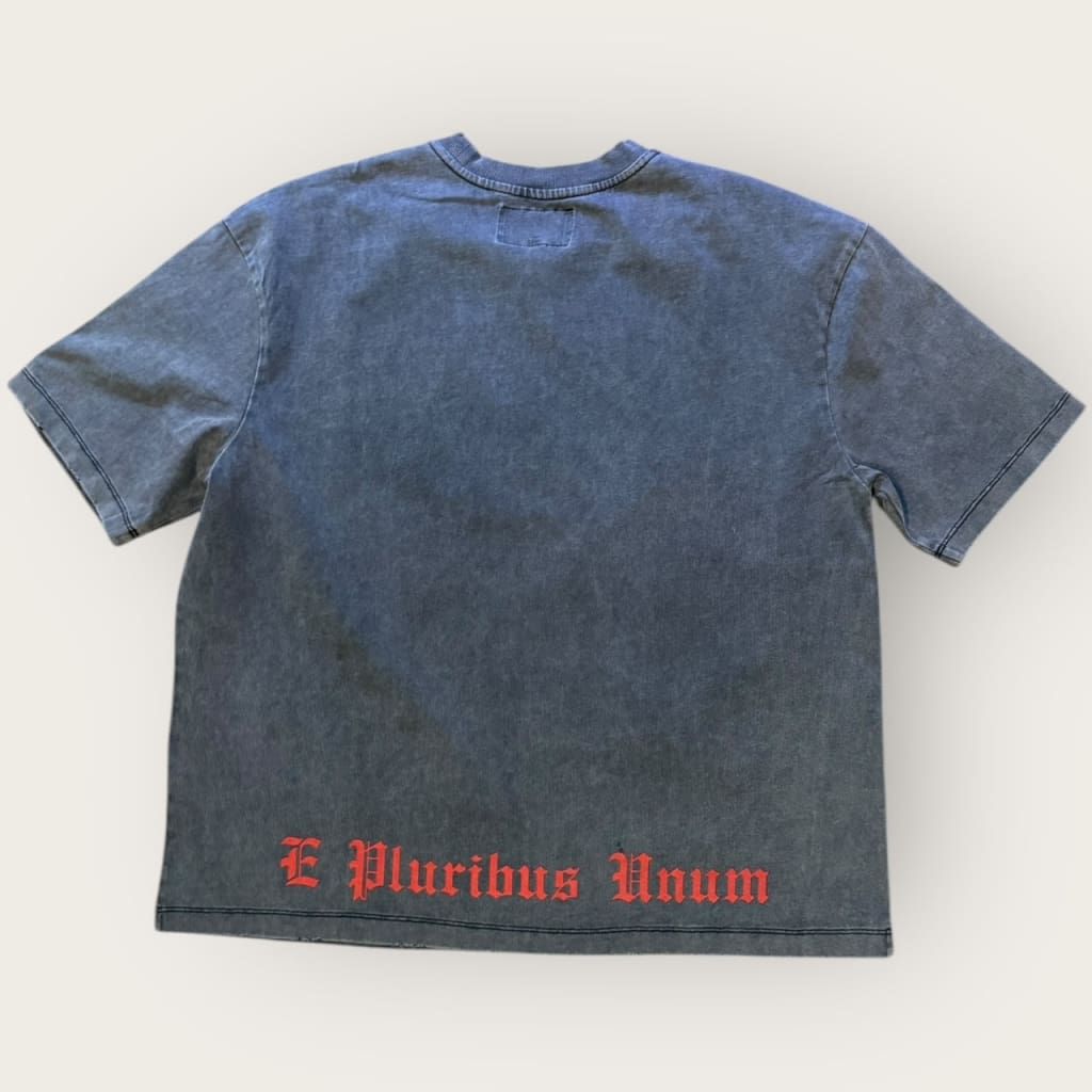 Godspeed R.O.M.E (Grey Wash)