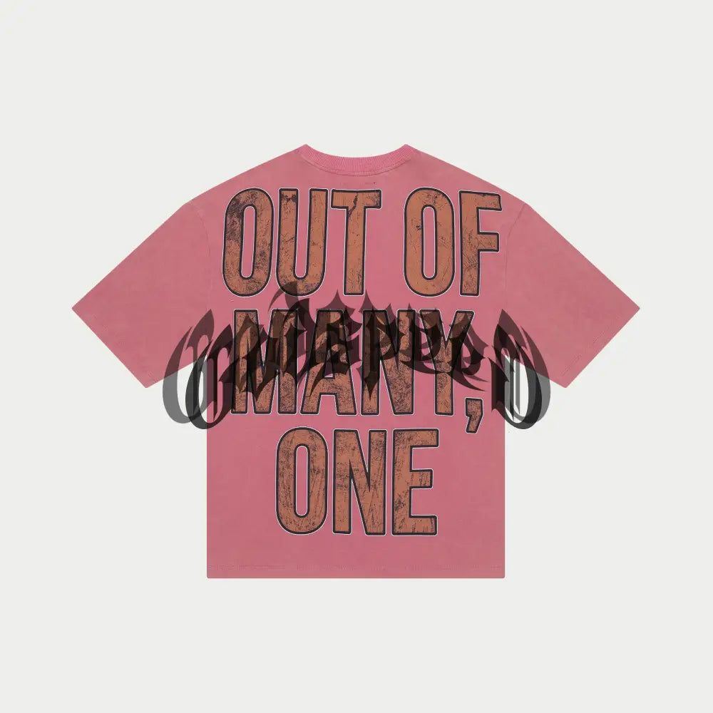 Godspeed F1 Dreams (Pink Wash)