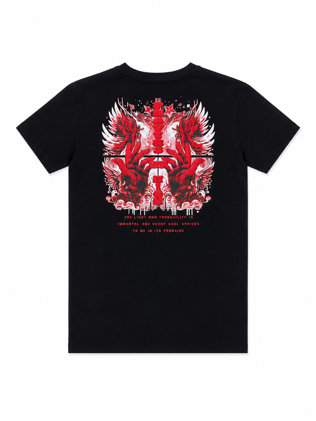 Denimicity Boys Graphic T-Shirt Black Red Wing Print Kids Cotton Tee