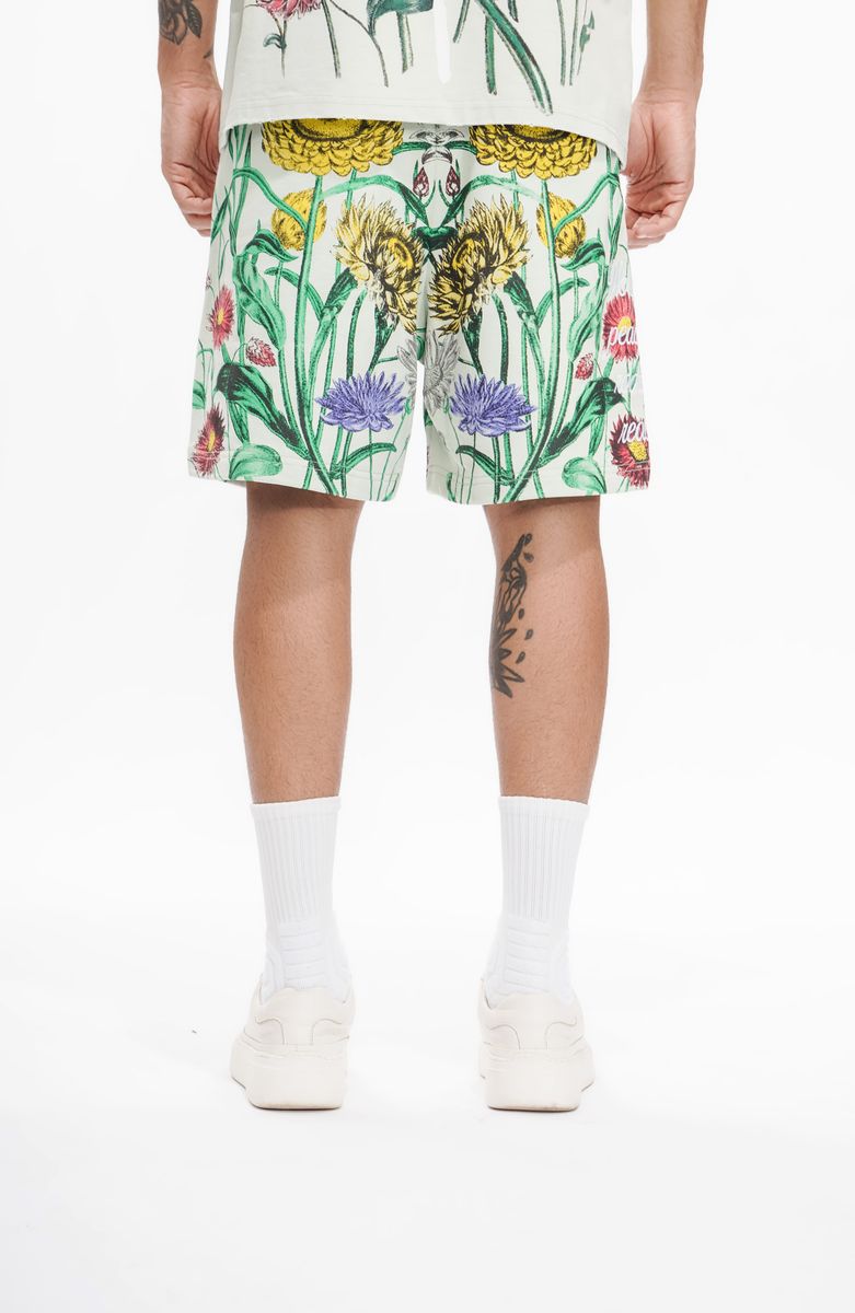 The Trnchs GROWN IN WAR SHORTS