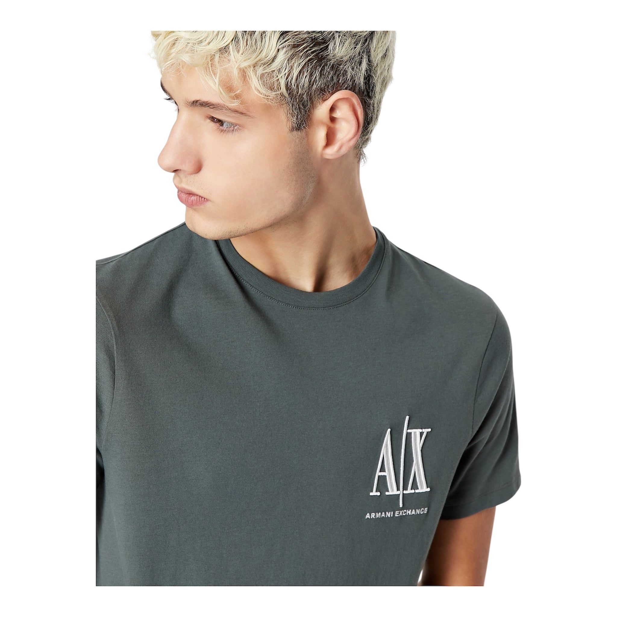 Armani Exchange Icon AIX Logo Dusty Olive T-Shirts