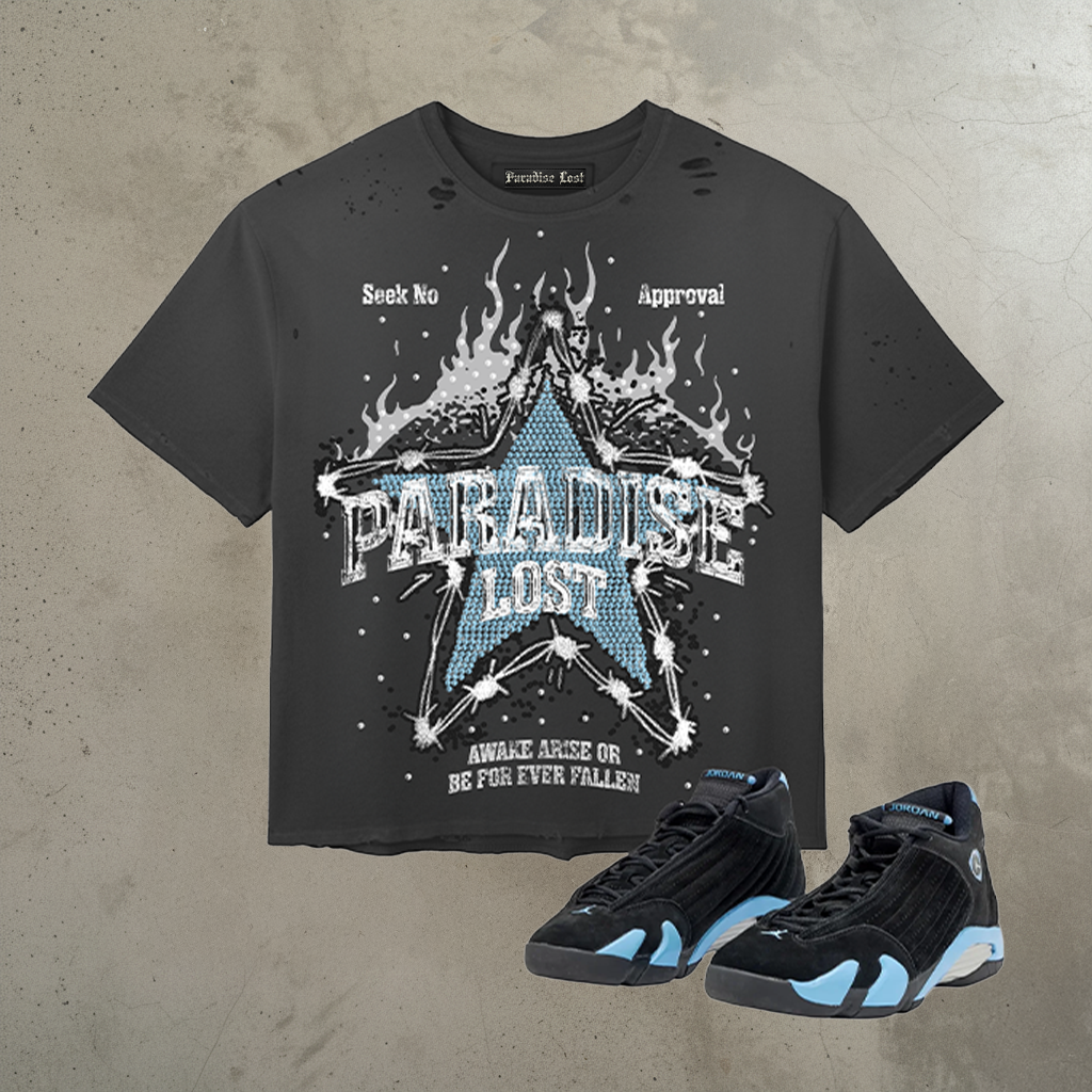 Paradise Lost FALLEN STAR TEE