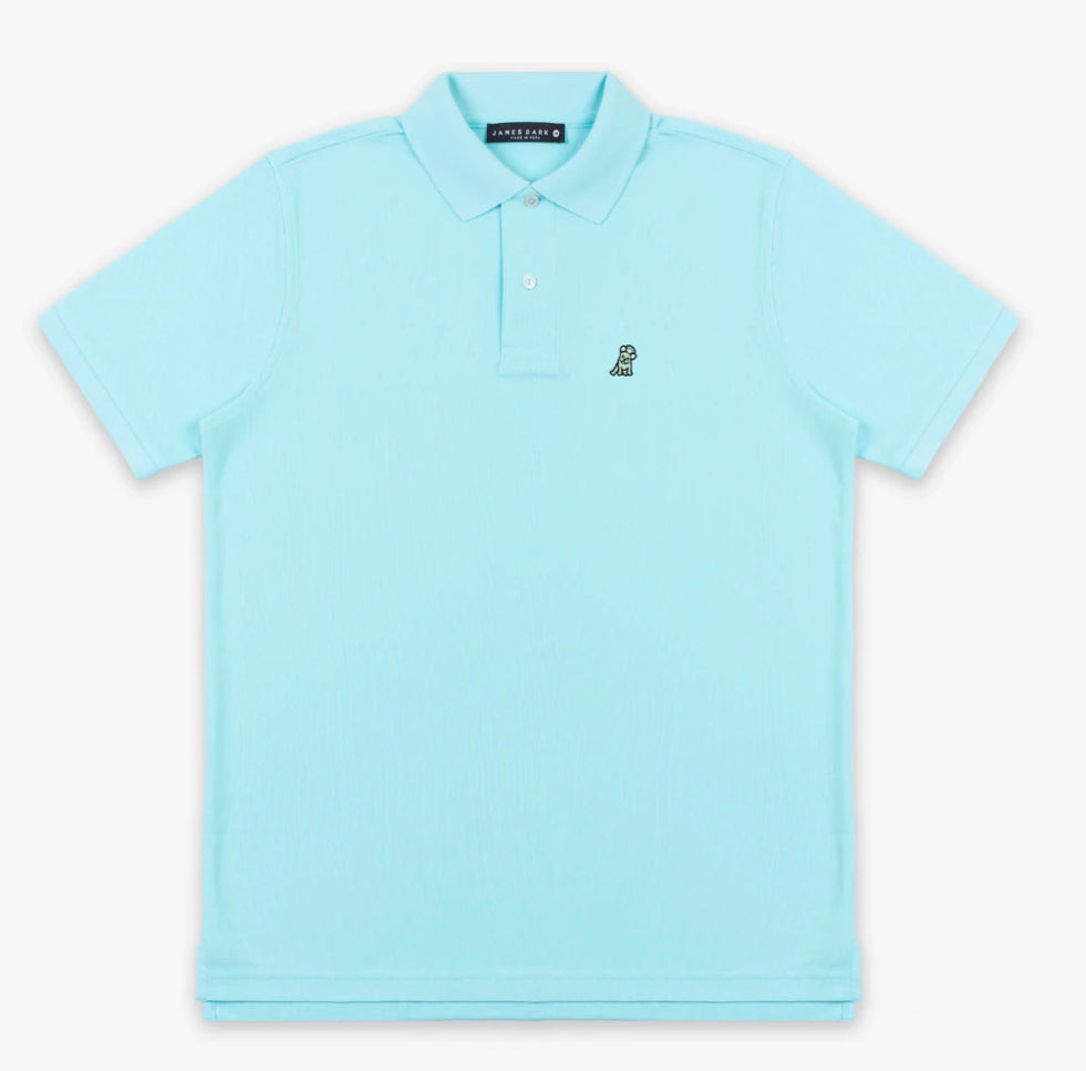 JAMES BARK Men's Marina Piccola Polo Shirt - Mint Bark