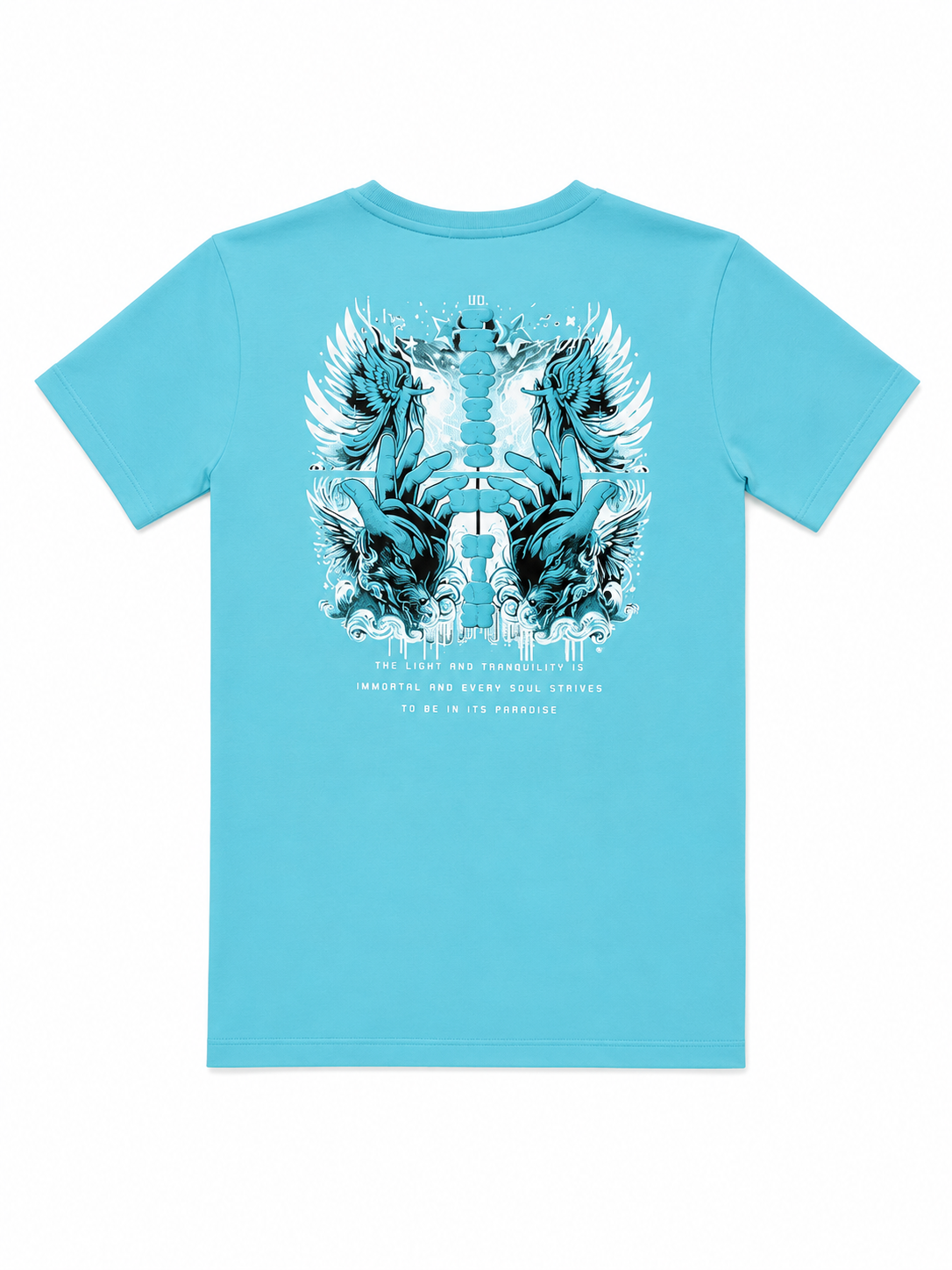 DENIMICITY Boys Graphic T-Shirt Teal Cotton Short Sleeve Crew Neck Tee