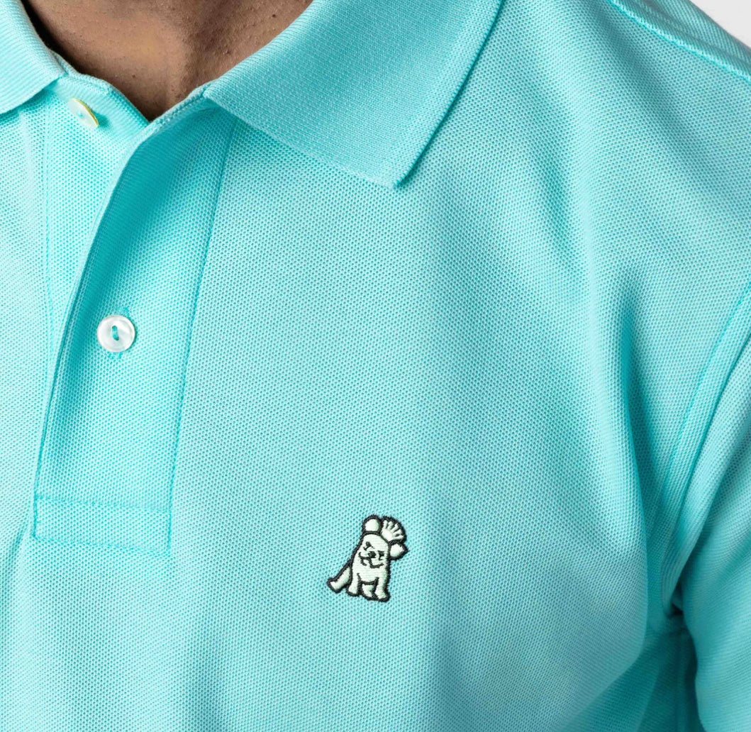 JAMES BARK Men's Marina Piccola Polo Shirt - Mint Bark