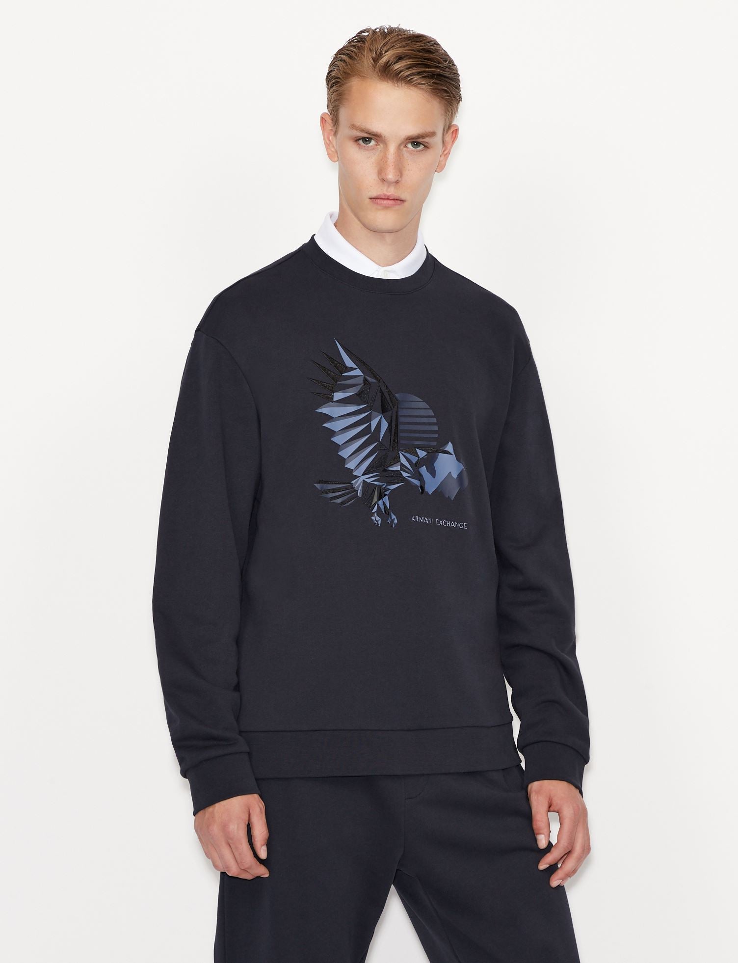 Armani exchange CREW NECK EAGLE SWEATSHIRT (navy/blue)