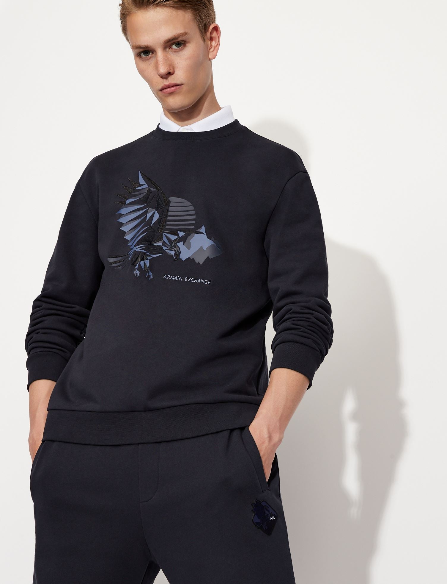 Armani exchange CREW NECK EAGLE SWEATSHIRT (navy/blue)